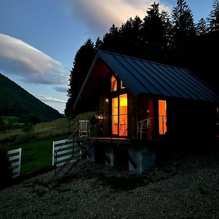Willa Bramble Tiny House Zărneşti Zewnętrze zdjęcie
