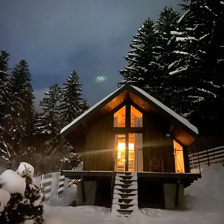 Willa Bramble Tiny House Zărneşti Zewnętrze zdjęcie
