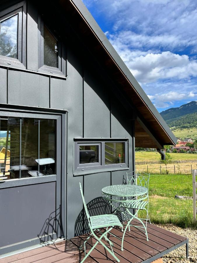 Willa Bramble Tiny House Zărneşti Zewnętrze zdjęcie