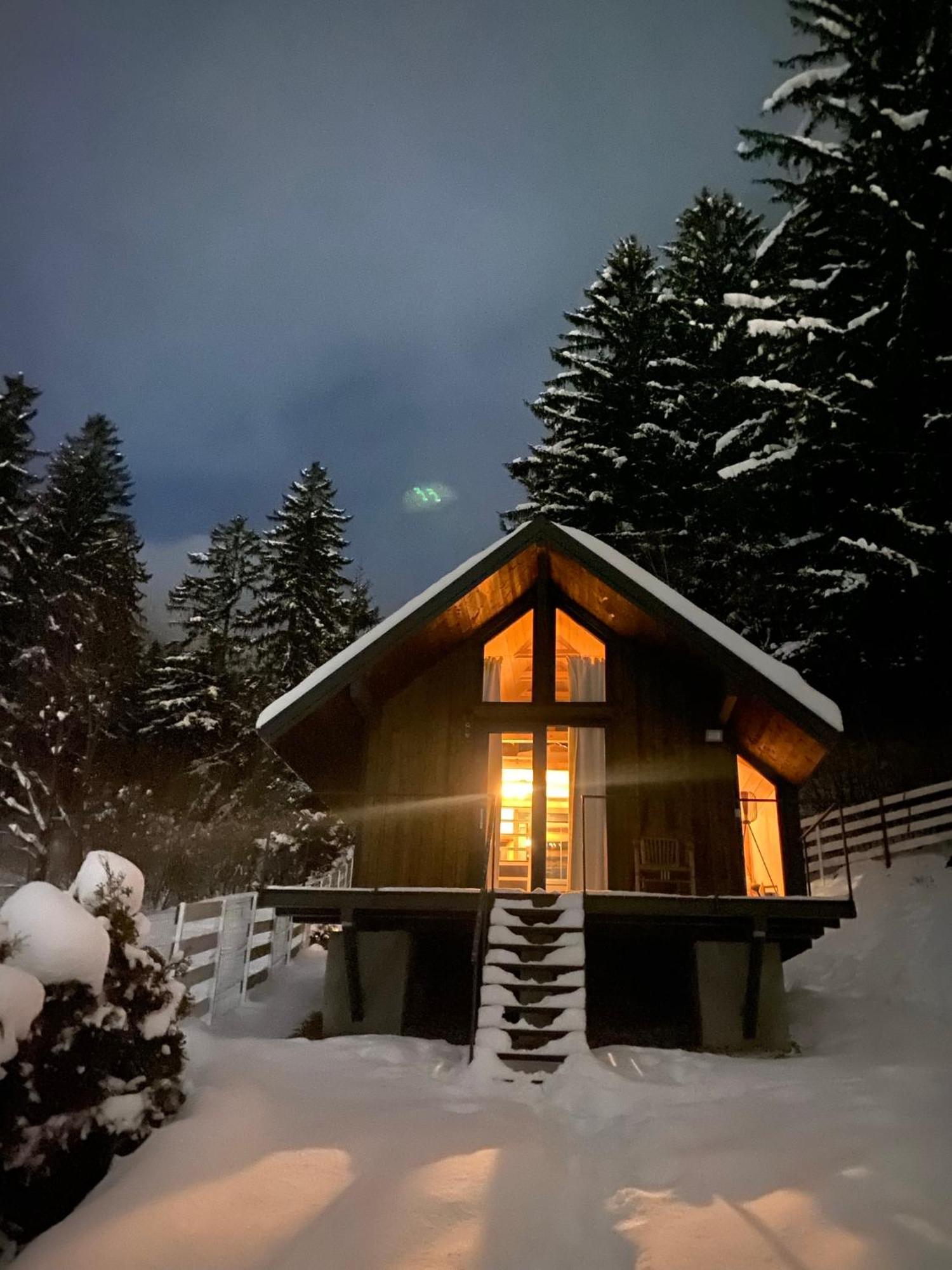 Willa Bramble Tiny House Zărneşti Zewnętrze zdjęcie